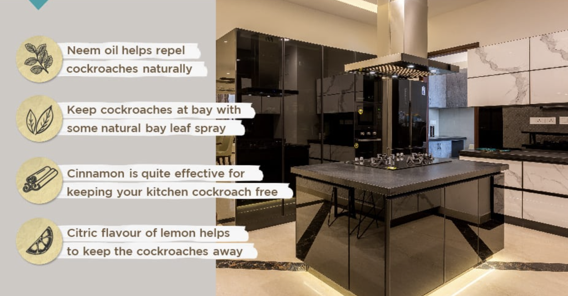 How to Get Rid of Oils from Kitchen Counter Organically: Eco-Friendly Tips