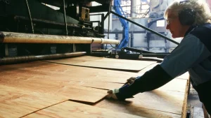 Pressure-Treated Plywood