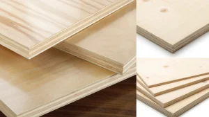 Softwood Plywood