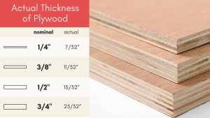Common Plywood Sizes